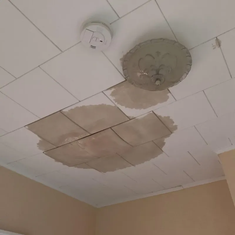 Ceiling Water Damage Repair in Taos, MO