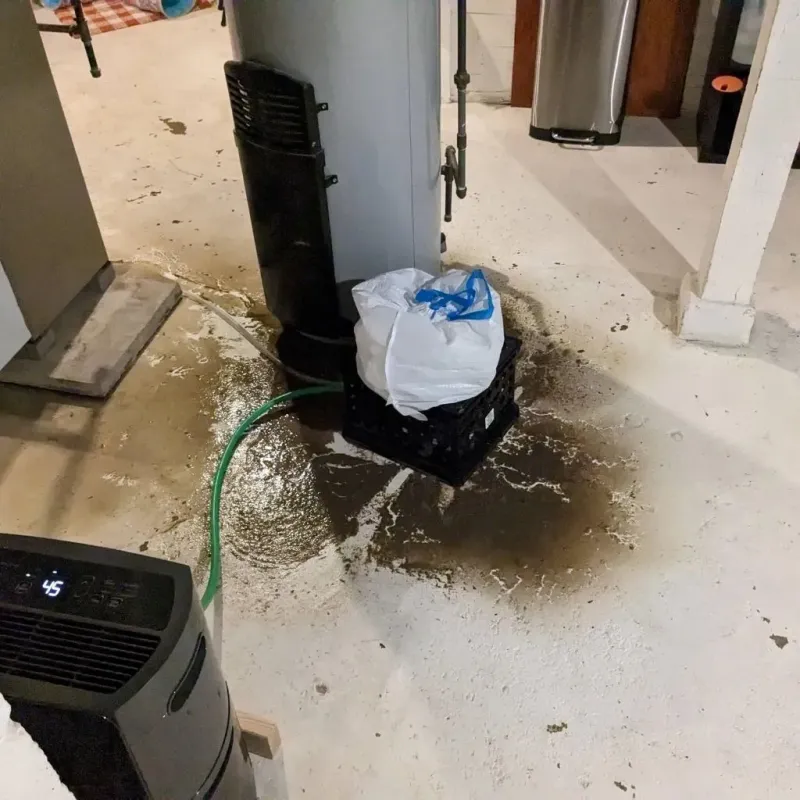 Sewage Backup Cleanup Service in Taos, MO